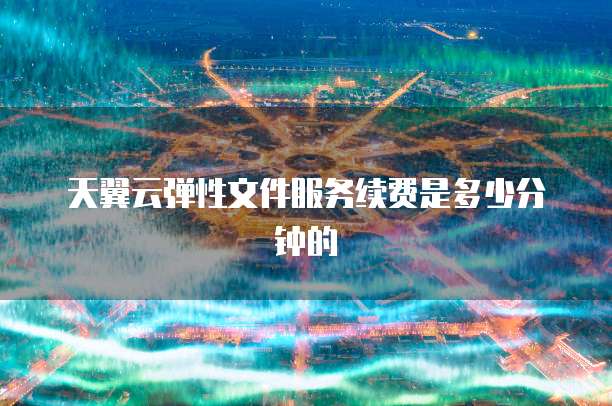 天翼云弹性文件服务续费是多少分钟的