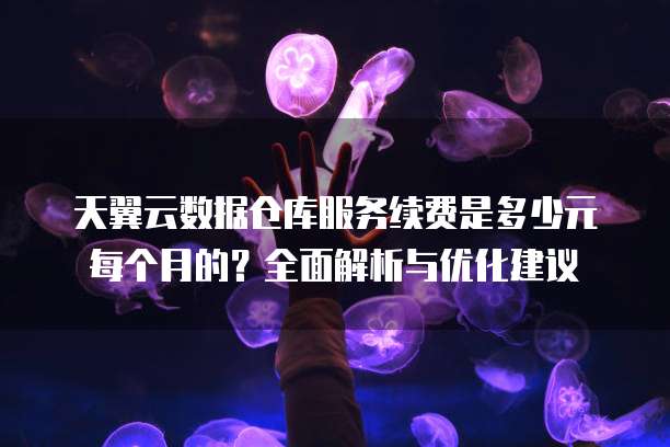 天翼云数据仓库服务续费是多少元每个月的?全面解析与优化建议