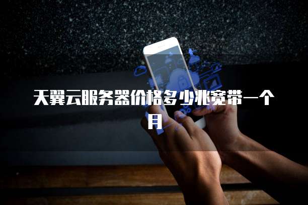 天翼云服务器价格多少兆宽带一个月