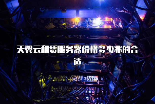 天翼云租赁服务器价格多少兆的合适