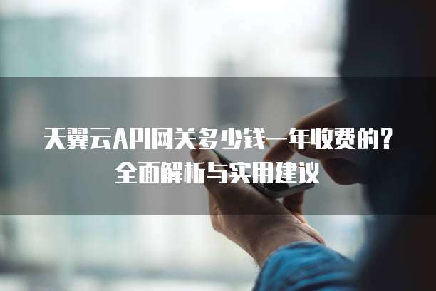 天翼云API网关多少钱一年收费的?全面解析与实用建议