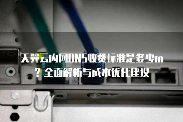 天翼云内网DNS收费标准是多少m?全面解析与成本优化建议
