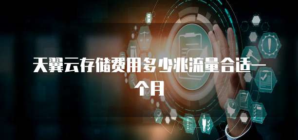 天翼云存储费用多少兆流量合适一个月