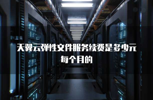 天翼云弹性文件服务续费是多少元每个月的