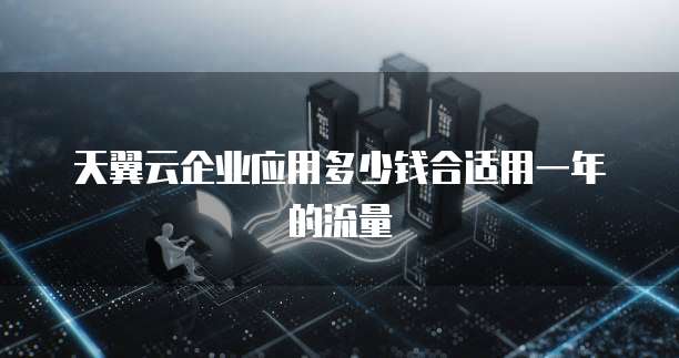 天翼云企业应用多少钱合适用一年的流量