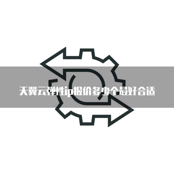 天翼云弹性ip报价多少个最好合适