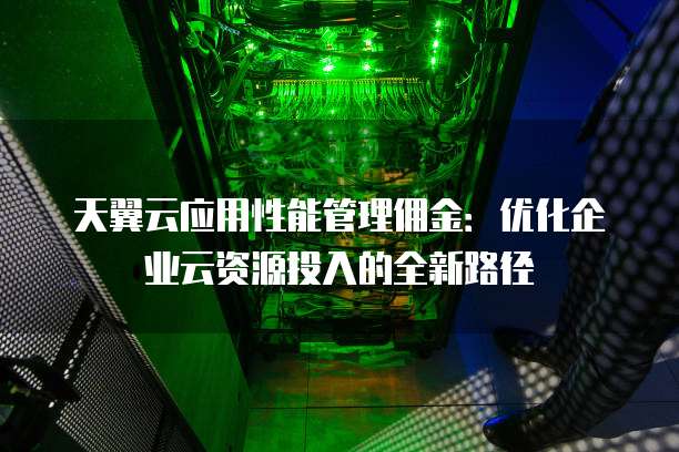 天翼云应用性能管理佣金:优化企业云资源投入的全新路径