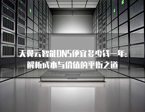 天翼云智能DNS便宜多少钱一年:解析成本与价值的平衡之道