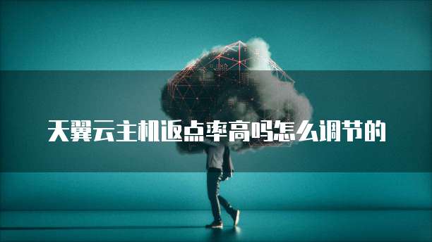 天翼云主机返点率高吗怎么调节的