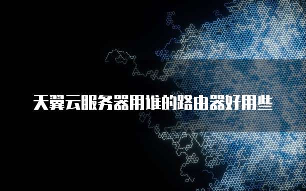 天翼云服务器用谁的路由器好用些