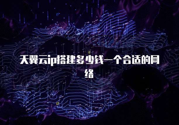 天翼云ip搭建多少钱一个合适的网络