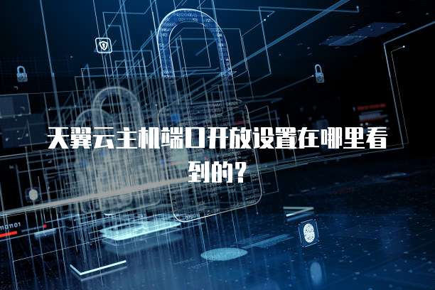 天翼云主机端口开放设置在哪里看到的?