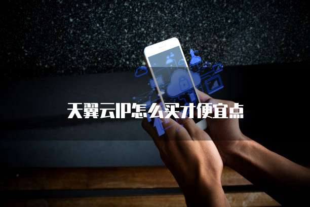 天翼云IP怎么买才便宜点