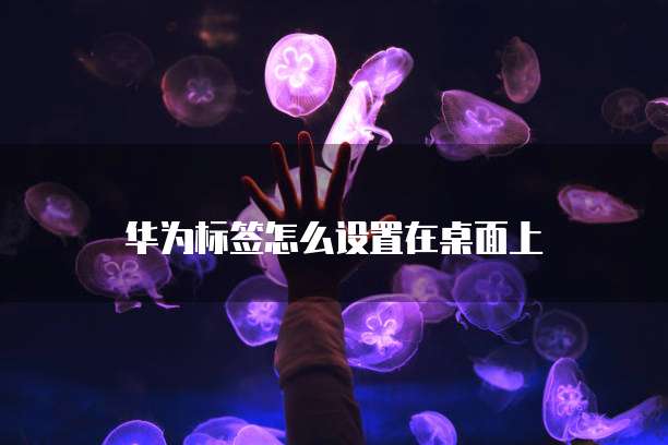 天翼云主机怎么远程登录账号呢安卓使用不了
