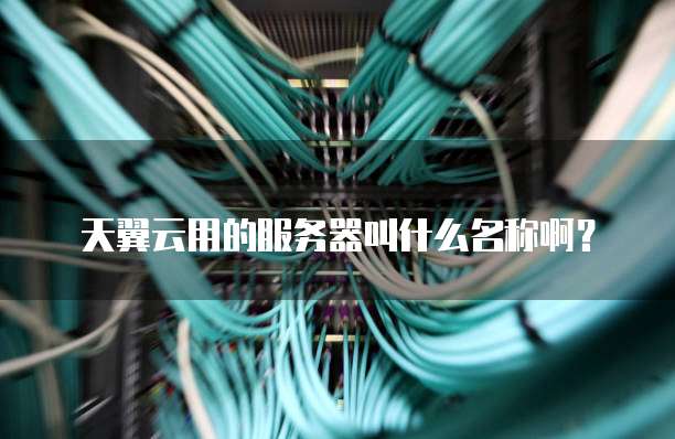 天翼云用的服务器叫什么名称啊?