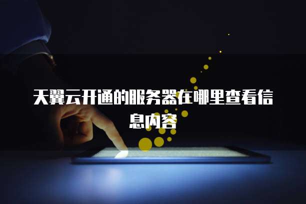 天翼云开通的服务器在哪里查看信息内容