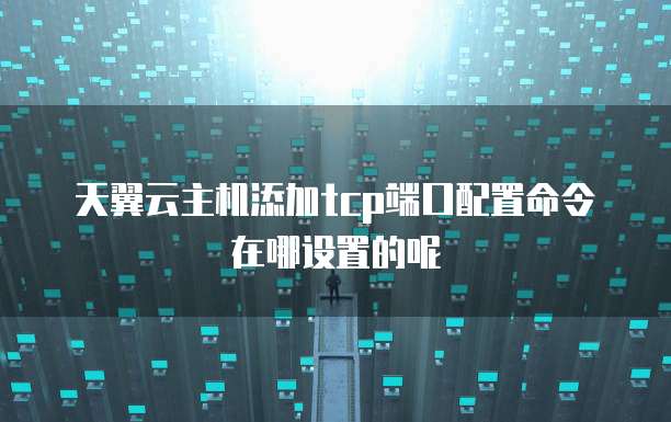天翼云主机添加tcp端口配置命令在哪设置的呢
