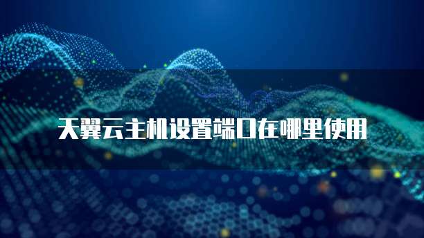 天翼云主机设置端口在哪里使用