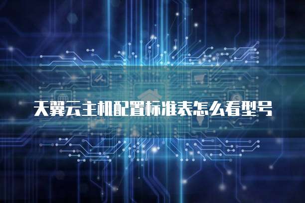 天翼云主机配置标准表怎么看型号