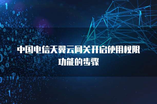 中国电信天翼云网关开启使用权限功能的步骤