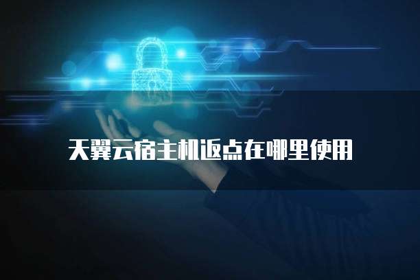 天翼云宿主机返点在哪里使用