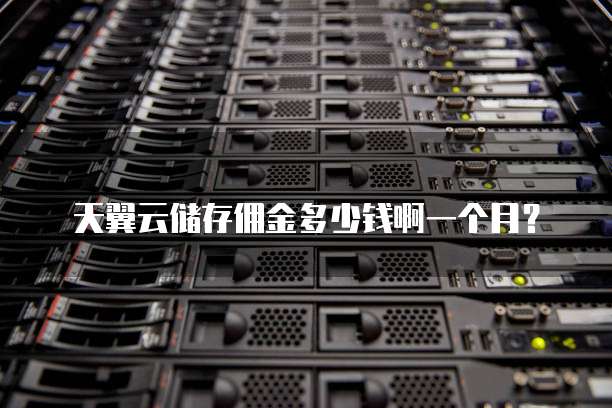 天翼云储存佣金多少钱啊一个月?