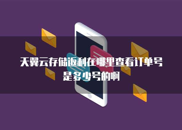 天翼云存储返利在哪里查看订单号是多少号的啊