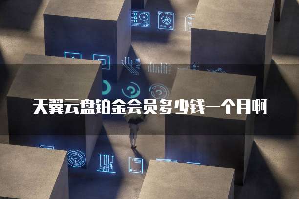 天翼云盘铂金会员多少钱一个月啊