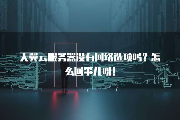 天翼云服务器没有网络选项吗？怎么回事儿呀！