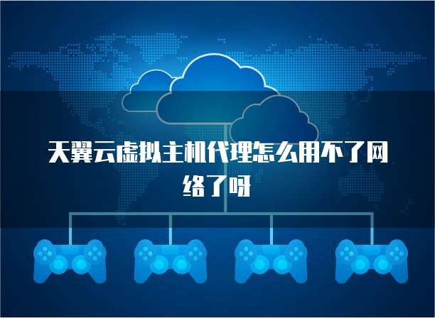 天翼云虚拟主机代理怎么用不了网络了呀