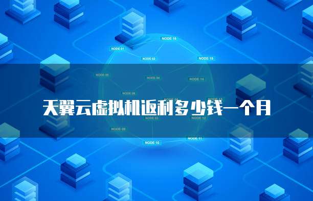 天翼云虚拟机返利多少钱一个月