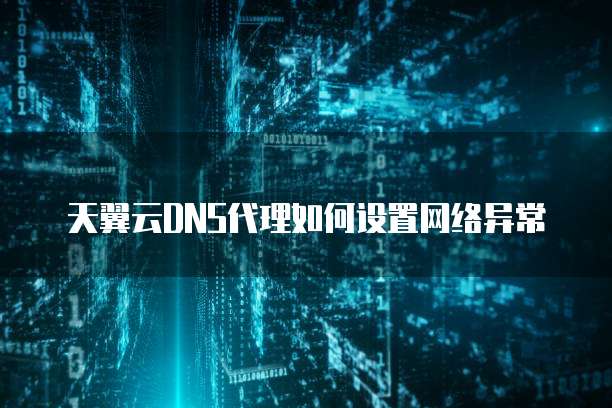 天翼云DNS代理如何设置网络异常