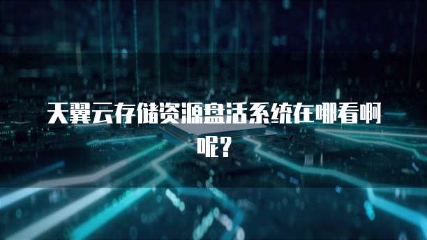 天翼云存储资源盘活系统在哪看啊呢?