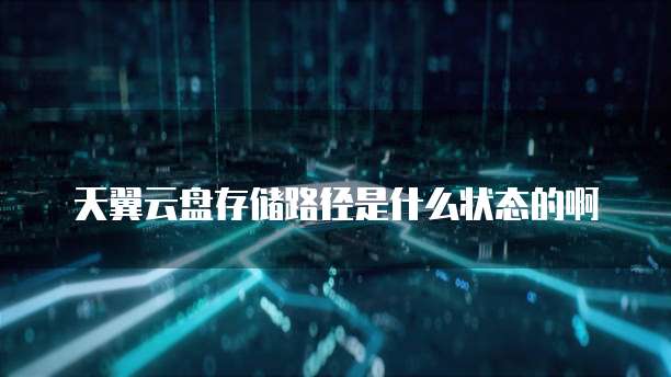 天翼云盘存储路径是什么状态的啊