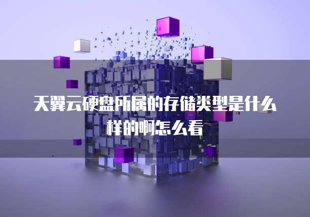 天翼云硬盘所属的存储类型是什么样的啊怎么看