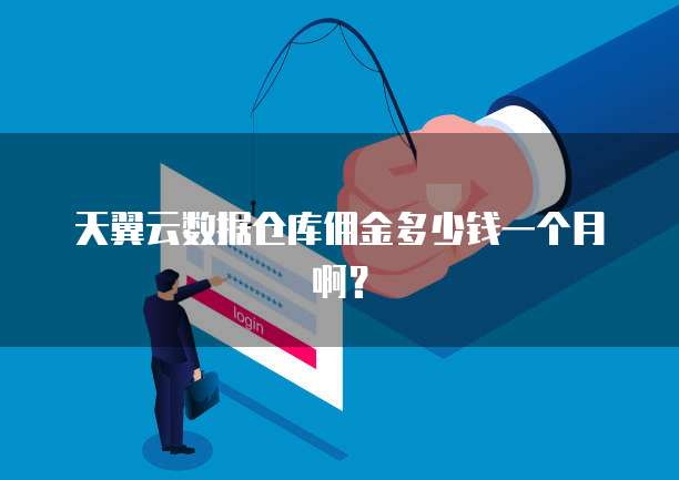 天翼云数据仓库佣金多少钱一个月啊？