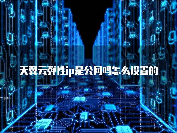 天翼云弹性ip是公网吗怎么设置的