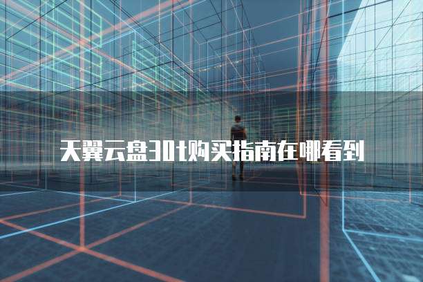 天翼云盘30t购买指南在哪看到