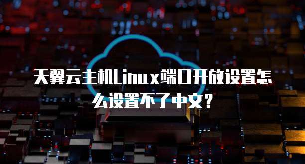 天翼云主机Linux端口开放设置怎么设置不了中文？