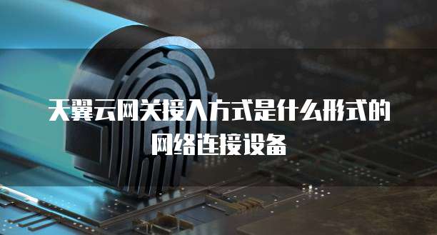 天翼云网关接入方式是什么形式的网络连接设备