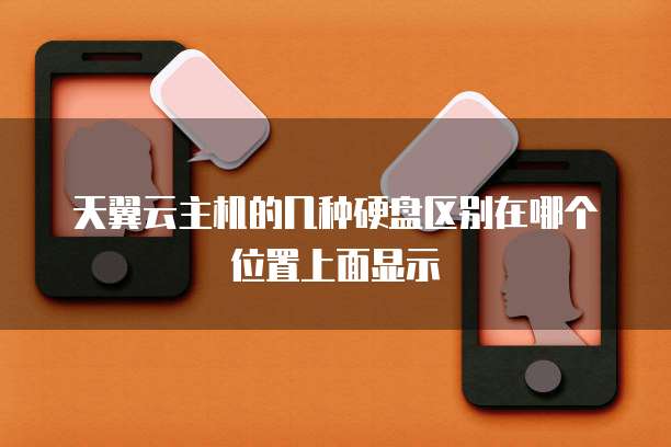 天翼云主机的几种硬盘区别在哪个位置上面显示