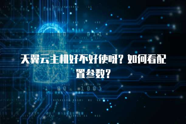 天翼云主机好不好使呀?如何看配置参数?