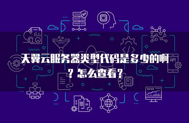 天翼云服务器类型代码是多少的啊？怎么查看？