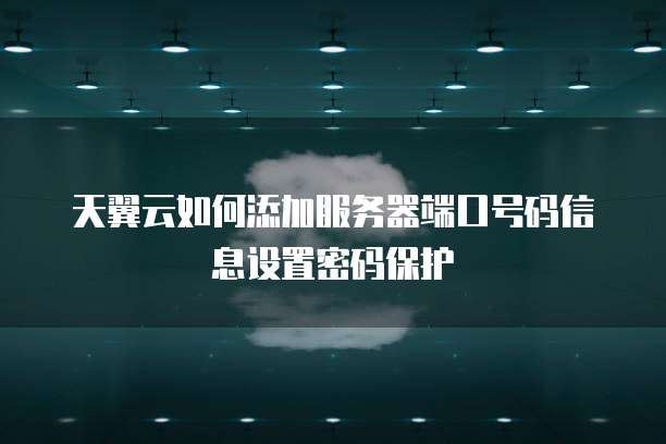 天翼云如何添加服务器端口号码信息设置密码保护