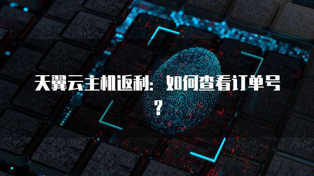 天翼云主机返利：如何查看订单号？