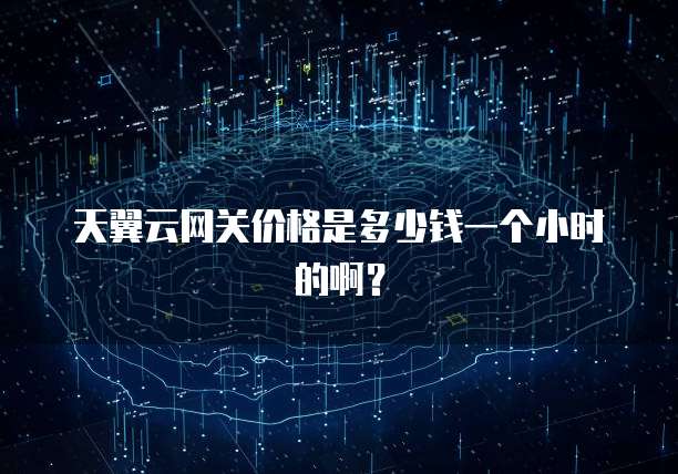 天翼云网关价格是多少钱一个小时的啊?