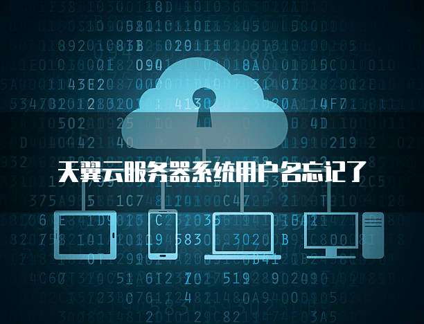 天翼云服务器系统用户名忘记了