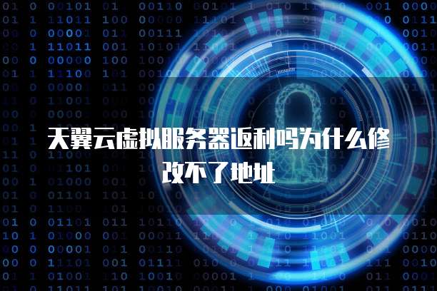 天翼云虚拟服务器返利吗为什么修改不了地址