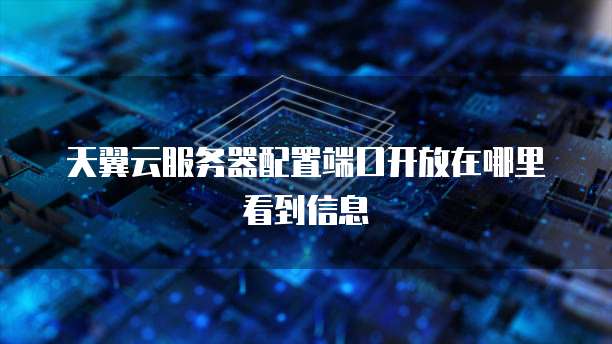 天翼云服务器配置端口开放在哪里看到信息