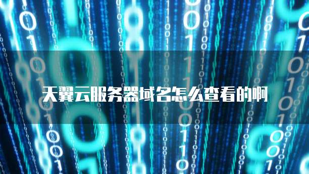 天翼云服务器域名怎么查看的啊
